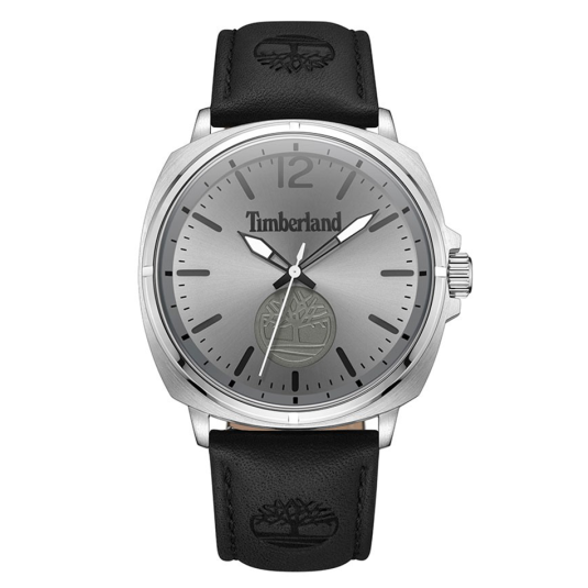 E-shop TIMBERLAND pánske hodinky WILLISTON hodinky TITDWGA0010602