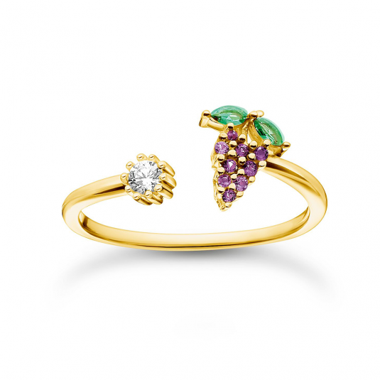 E-shop THOMAS SABO dámsky prsteň Grape gold prsteň TR2354-971-7