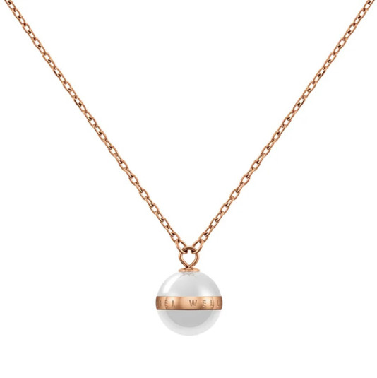 E-shop DANIEL WELLINGTON dámsky náhrdelník Aspiration náhrdelník DW00400157