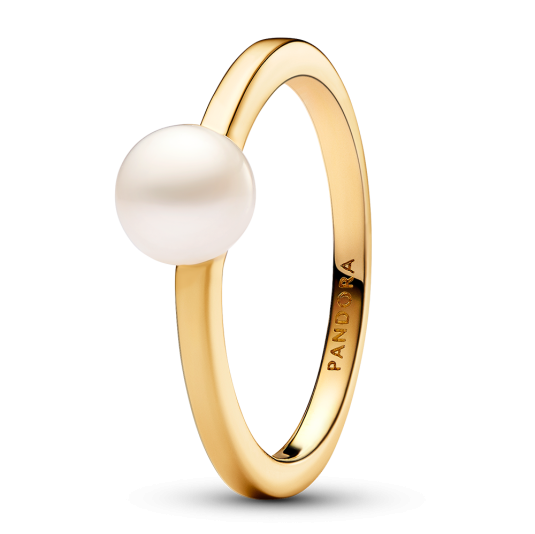 E-shop PANDORA pozlátený prsteň Nadčasový perlový prsteň prsteň 163157C01